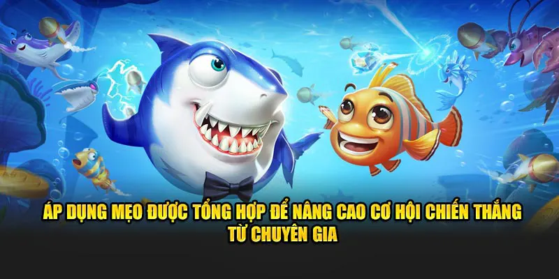 Áp dụng mẹo được tổng hợp để nâng cao cơ hội chiến thắng 