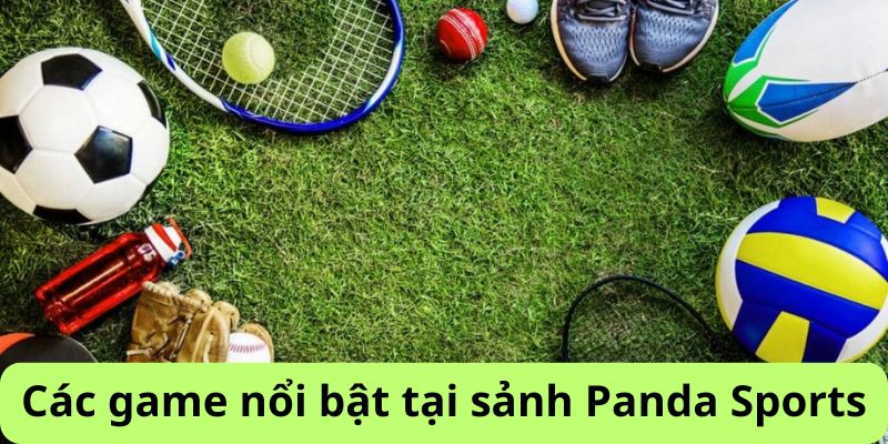 Các điểm nổi bật tại sảnh Panda Sports