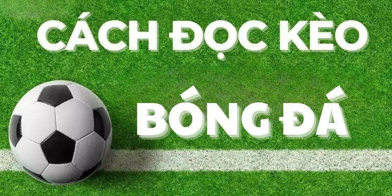 Bật mí cách đọc kèo bóng đá cho tân thủ