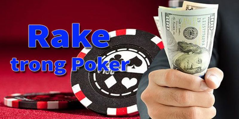 Khái niệm rake là gì trong Poker