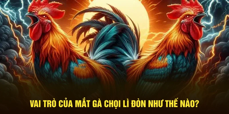 Mắt gà chọi lì đòn như thế nào?