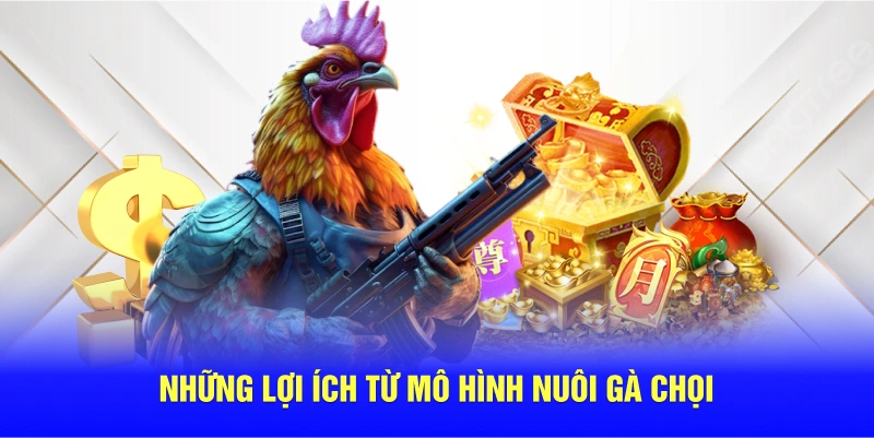 Những lợi ích từ mô hình nuôi gà chọi