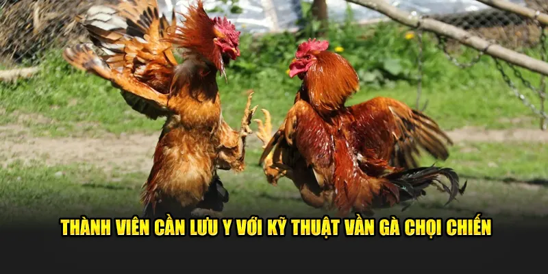 Thành viên cần lưu ý với kỹ thuật vần gà chọi chiến