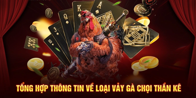 Tổng hợp thông tin về loại vảy gà chọi thần kê